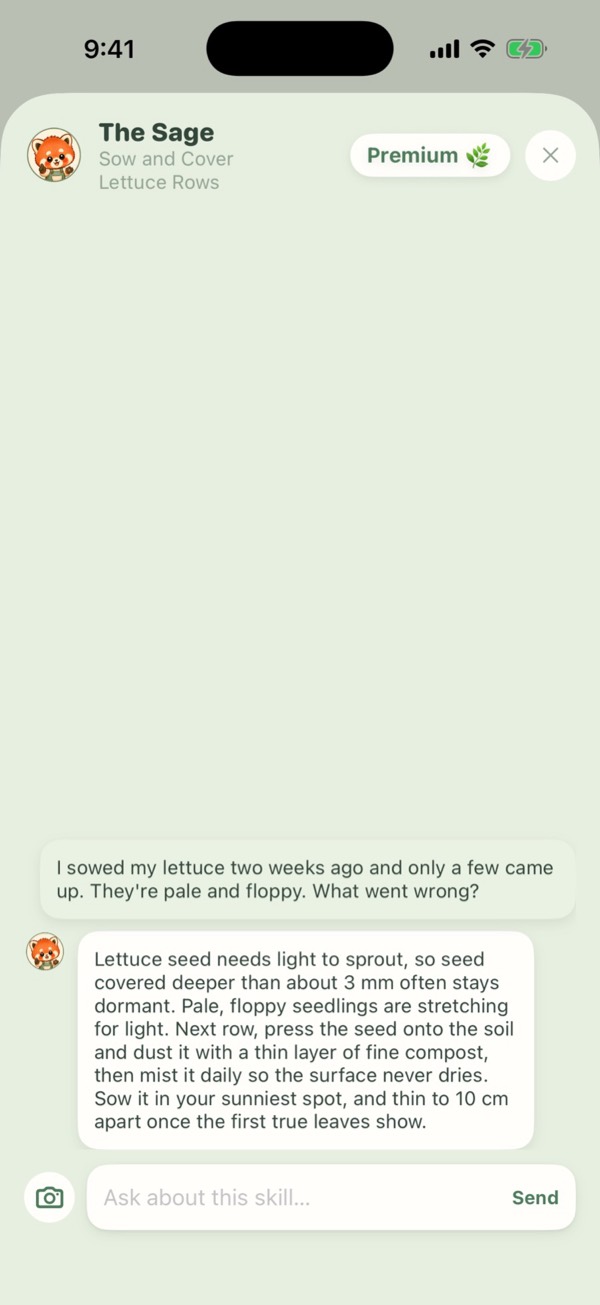 A question to the Sage about lettuce seeds, and the answer.